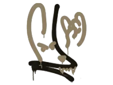 Skin's image