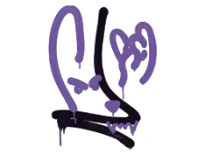 Skin's image