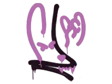 Skin's image