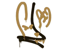 Skin's image