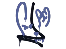 Skin's image