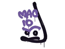 Skin's image