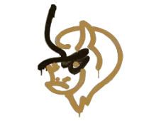 Skin's image
