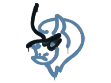 Skin's image