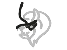 Skin's image