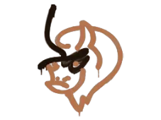Skin's image