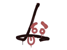 Skin's image