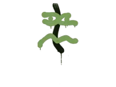Skin's image