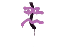 Skin's image