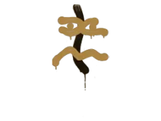 Skin's image