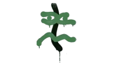 Skin's image