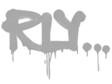 Skin's image