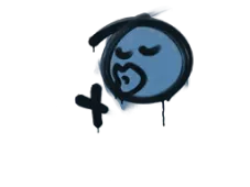 Skin's image