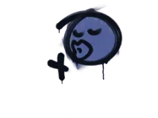 Skin's image
