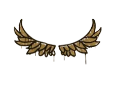 Skin's image