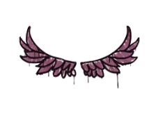 Skin's image