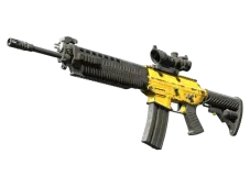 Skin's image