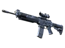 Skin's image