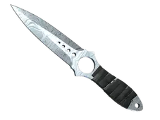 Skin's image
