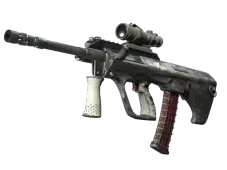 Souvenir AUG | Arctic Wolf (Battle-Scarred)