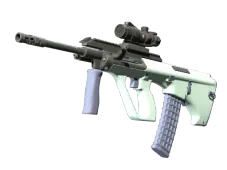 AUG | Storm (Factory New)