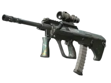 Souvenir AUG | Surveillance (Well-Worn)