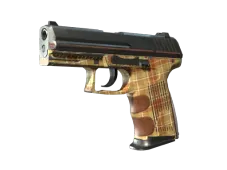 Souvenir P2000 | Coach Class (Field-Tested)