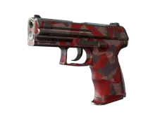 Souvenir P2000 | Red FragCam (Well-Worn)