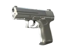 P2000 | Silver (Minimal Wear)