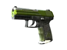 Souvenir P2000 | Turf (Well-Worn)