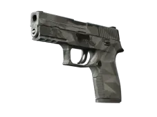 Souvenir P250 | Facets (Field-Tested)