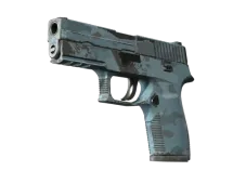 Souvenir P250 | Forest Night (Field-Tested)