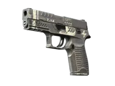 Souvenir P250 | Re.built (Field-Tested)