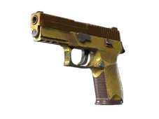 Souvenir P250 | Sedimentary (Well-Worn)