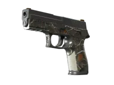 Souvenir P250 | Small Game (Field-Tested)