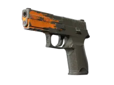 Souvenir P250 | Splash (Field-Tested)