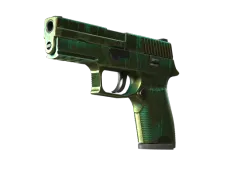 Souvenir P250 | Verdigris (Battle-Scarred)