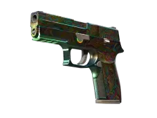 Souvenir P250 | Visions (Battle-Scarred)