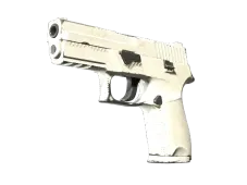 Souvenir P250 | Whiteout (Well-Worn)