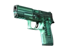 Souvenir P250 | X-Ray (Field-Tested)