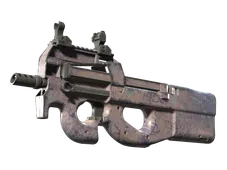 P90 | Wash me (Factory New)