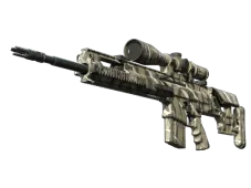 Souvenir SCAR-20 | Torn (Well-Worn)