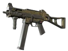 Skin's image