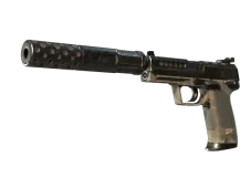 Souvenir USP-S | 27 (Field-Tested)