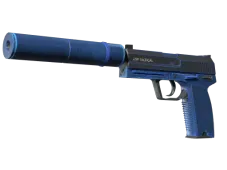 Souvenir USP-S | Blueprint (Minimal Wear)