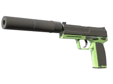 USP-S | Para Green (Factory New)