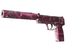 USP-S | Target Acquired (Well-Worn)