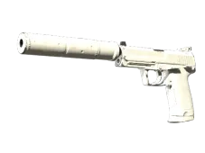 USP-S | Whiteout (Factory New)