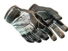 ★ Specialist Gloves | Blackbook (Battle-Scarred)