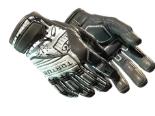 ★ Specialist Gloves | Blackbook (Factory New)